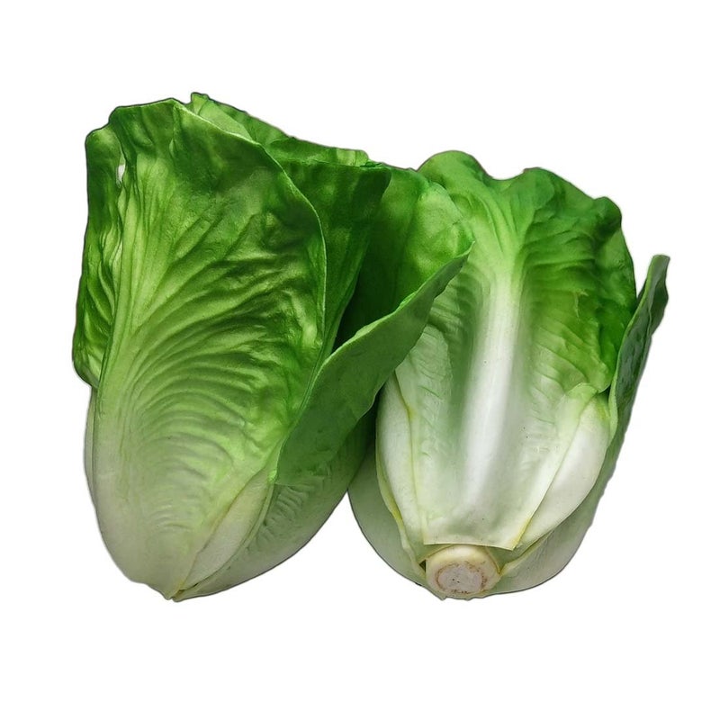 Lorigun Artificial Lettuce, Fake Vegetable, Artificial Vegetables for Decoration, Home Kitchen Decor, PU Vegetable 2 Pcs - Image 2